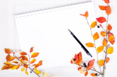 Sonbahar yaprakları ve kalem günlük, defter. Sonbahar ve Şükran Günü. Sonbahar kompozisyonu. Metin için boş alan. 