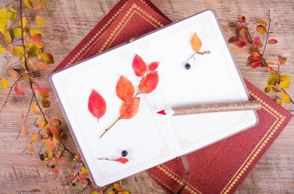 Feuilles d'automne, cahier, journal, crayons couchés sur un fond de bois. Automne et Thanksgiving. Composition d'automne . — Photo