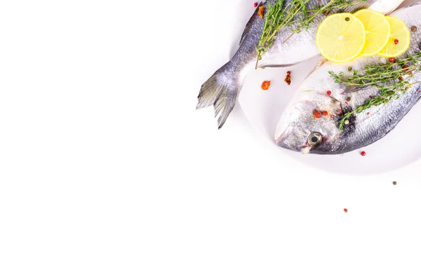 Fresh raw gilthead fishes with lemon, herbs, salt on plate, white background. Healthy food concept. Food frame — 图库照片