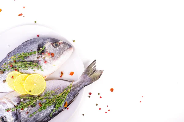 Fresh raw gilthead fishes with lemon, herbs, salt on plate, white background. Healthy food concept. Food frame — Φωτογραφία Αρχείου