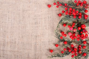 Branch with red berries on canvas, sackcloth background. Christmas and New Year decoration. Free space for text