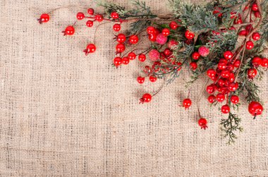 Branch with red berries on canvas, sackcloth background. Christmas and New Year decoration. Free space for text