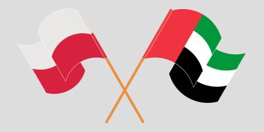 Polonya ve Birleşik Arap Emirlikleri 'nin çapraz ve dalgalı bayrakları