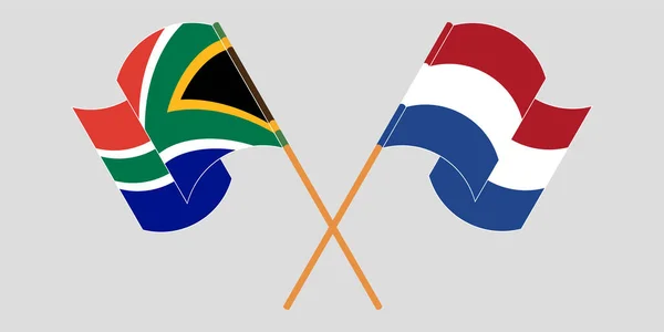 Drapeaux croisés et agités de l'Afrique du Sud et des Pays-Bas — Image vectorielle