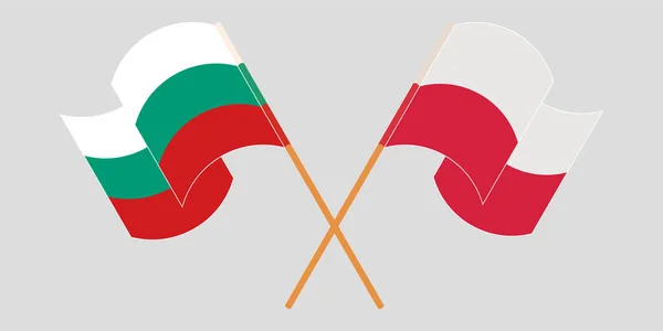 Bulgária és Lengyelország keresztezett és lengő lobogói — Stock Vector
