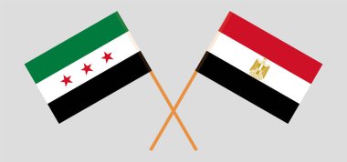 Mısır 'ın çapraz bayrakları ve Suriye Geçici Hükümeti