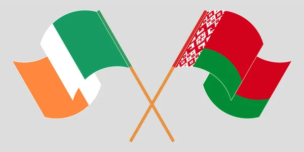 Korsade och viftande flaggor från Vitryssland och Irland — Stock vektor