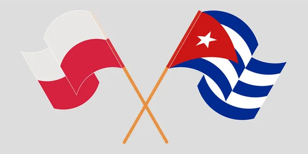 Cruzó y ondeó banderas de Cuba y Polonia — Archivo Imágenes Vectoriales