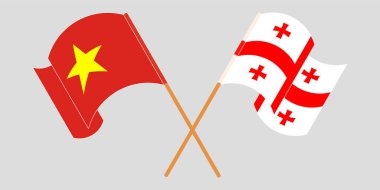 Gürcistan ve Vietnam 'ın çapraz ve dalgalı bayrakları