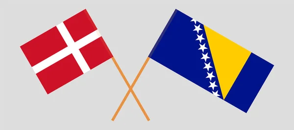 Banderas cruzadas de Bosnia y Herzegovina y Dinamarca — Archivo Imágenes Vectoriales