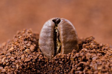 Kahve çekirdeği. Makro çekim.