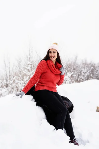 Temporada Inverno Retrato Uma Bela Mulher Sorridente Suéter Vermelho Chapéu — Fotografia de Stock