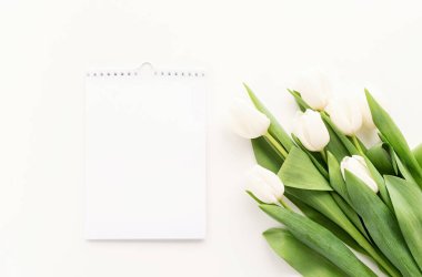 Tasarım ve beyaz laleler için boş takvimin üst görünümü. Bahar konsepti.