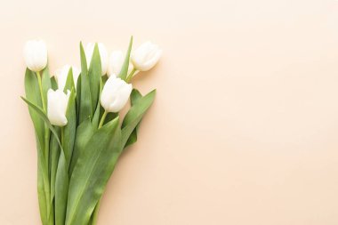 Bahar konsepti Pastel arka planda fotokopi alanı olan beyaz lale buketi