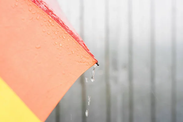 雨落在彩色雨伞上 带雨滴的彩色伞部分的闭合 — 图库照片