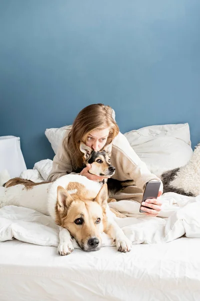 Jovem Feliz Sentada Cama Com Seus Cães Tomando Selfie — Fotografia de Stock