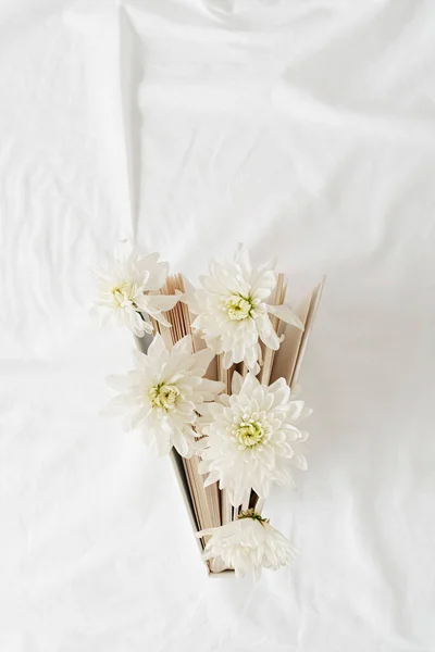 Concepto Lectura Primavera Vista Superior Libro Con Flores Crisantemo Blanco —  Fotos de Stock