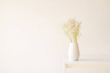 Masada beyaz vazodaki beyaz çigila çiçekleri, minimal stil, boşluğu kopyala