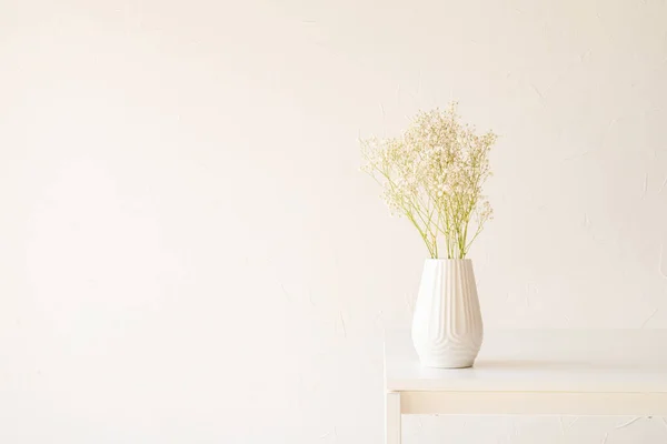 Weiße Zigeunerblumen Weißer Vase Auf Dem Tisch Minimalistischer Stil Kopierraum — Stockfoto