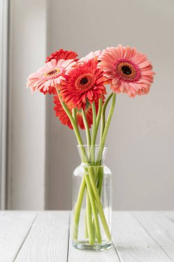 Masadaki vazoda kırmızı ve pembe gerbera papatyaları, minimal stil. Boşluğu kopyala