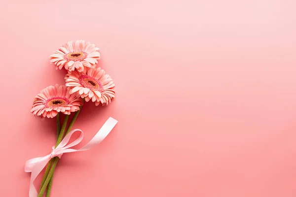 Pink Gerbera Daisies Bouquet Ribbon Minimal Design Flat Lay Pastel — Foto Stock