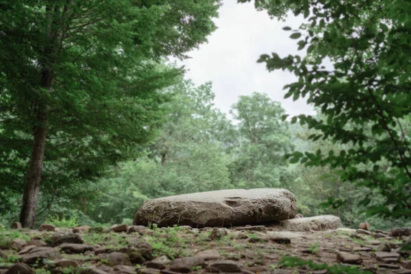 Big rock for meditation in a green misty forest