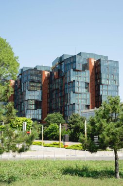 Şehir merkezindeki yeşil çimenli modern apartman veya ofis binası, güneşli yaz günü.