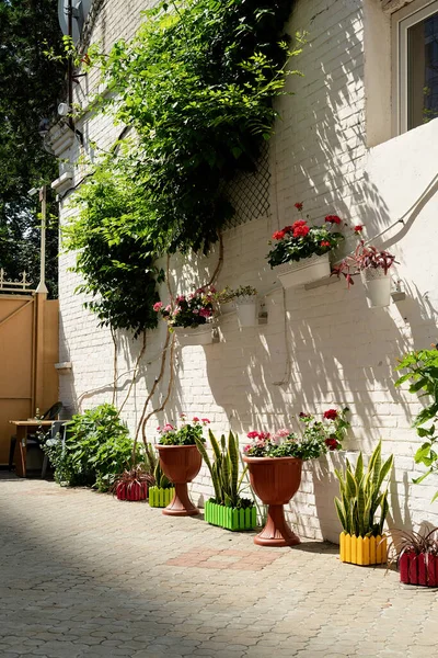 地中海城镇五彩斑斓的花街 白色的砖墙 外面的盆栽 阳光灿烂的夏日 — 图库照片