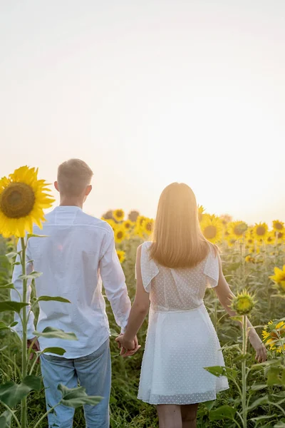 Осіння Природа Молода Романтична Пара Ходить Соняшниковому Полі Заході Сонця — стокове фото
