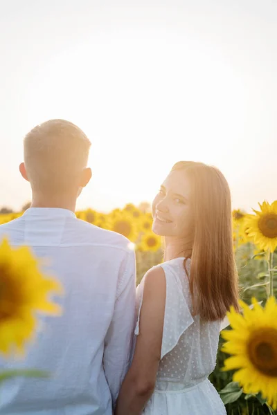 Осіння Природа Молода Романтична Пара Ходить Соняшниковому Полі Заході Сонця — стокове фото