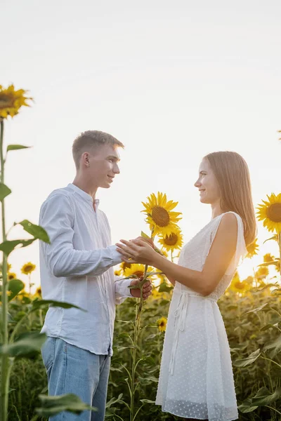 Naturaleza Otoñal Joven Pareja Romántica Caminando Campo Girasol Atardecer —  Fotos de Stock