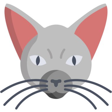 Kedi. Web simgesi basit illüstrasyon