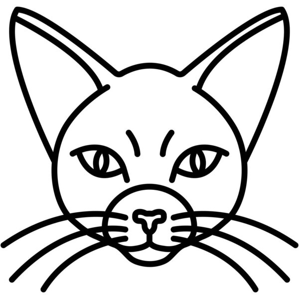 cat. web icon simple illustration