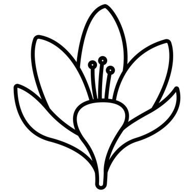 Basit vektör simgesi, Crocus çiçeğinin çizimi