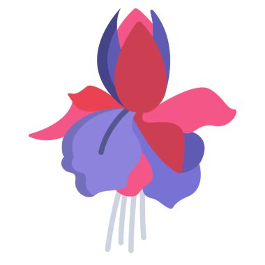 Vektör fuşya çiçek çizgisi çizimi