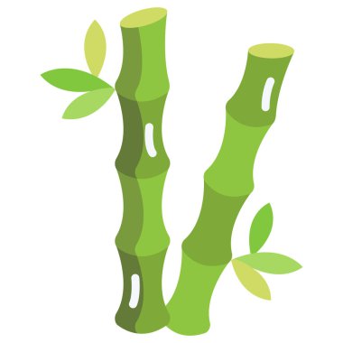 Bambuların vektör çizimi 