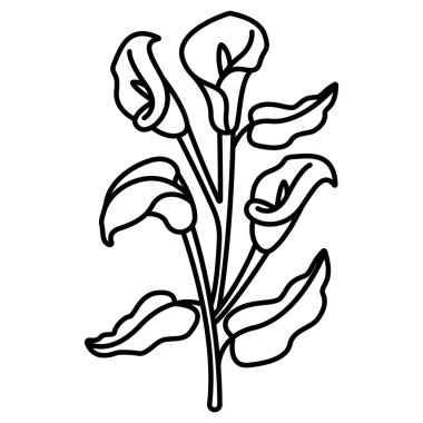 Kalla zambağı çiçek ikonu vektör illüstrasyon grafik tasarımı