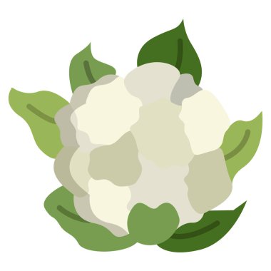 Karnabahar simge vektör çizim 