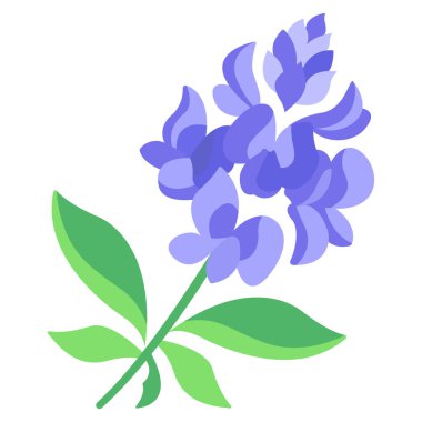 güzel çiçek vektör çizimi tasarımı