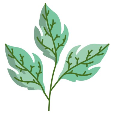 Yaprak simgesi, vektör illüstrasyonu 