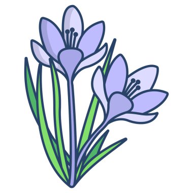 Basit vektör simgesi, Crocus çiçeklerinin çizimi