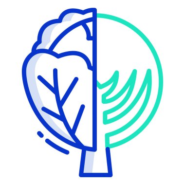 Lahana. Web simgesi basit illüstrasyon