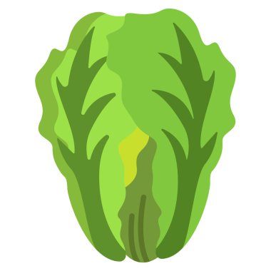 Taze sebze ikonu. Beyaz arkaplanda izole edilmiş marul vektör simgelerinin düz çizimi