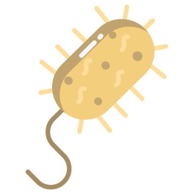 Bakteriyel hücrenin vektör çizimi