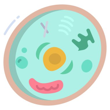 Basit vektör simgesi, Hayvan hücresinin çizimi