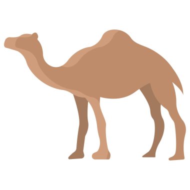 Basit vektör simgesi, Deve hayvanının çizimi