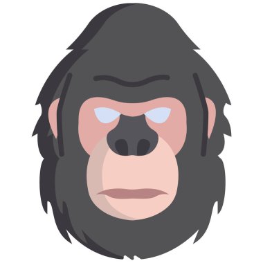 Sakallı ve şapkalı bir adam.