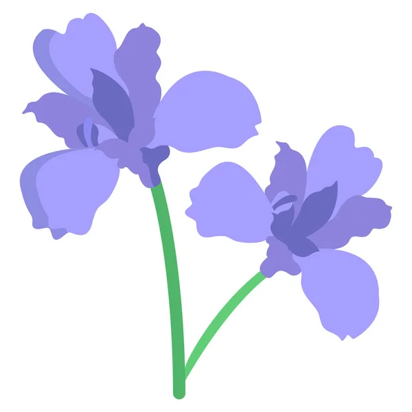 Illustrazione Vettoriale Fiore Viola — Vettoriale Stock