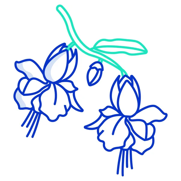 Vector Fuchsia Flower Line Illustration — Stock Vector