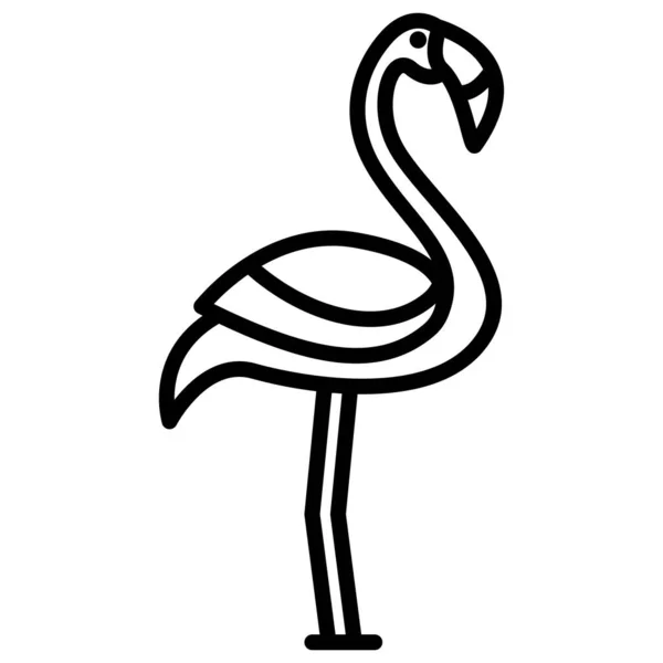 Flamingo Vector Ilustração Fundo —  Vetores de Stock